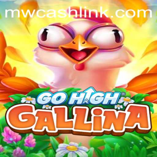 GoHighGallina: The Exciting World of MW CASH Game